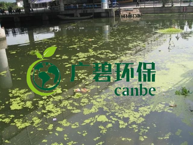 城市黑臭河道如何治理？河道黑臭水體治理思路(圖3)