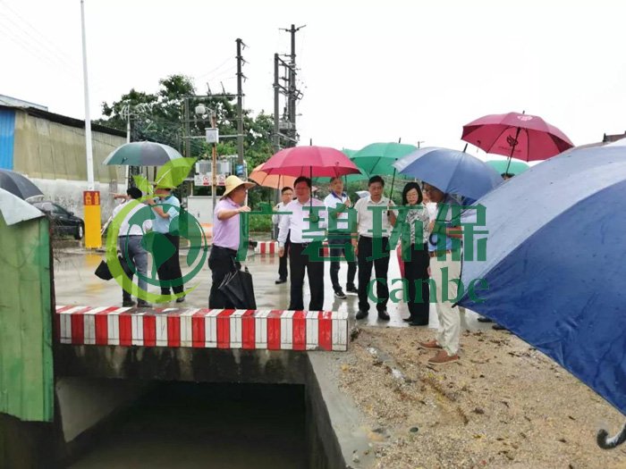 佛山推進(jìn)水污染防治問題整改，虛假整改將被問責(zé)！(圖2)