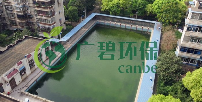 游泳池水變綠是什么原因？游泳池水處理方法(圖1)