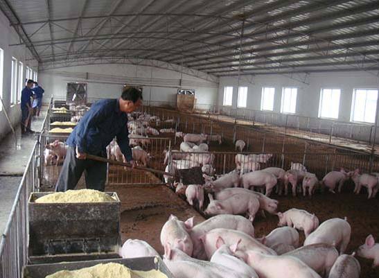 什么是養(yǎng)殖廢水？養(yǎng)殖廢水處理工藝