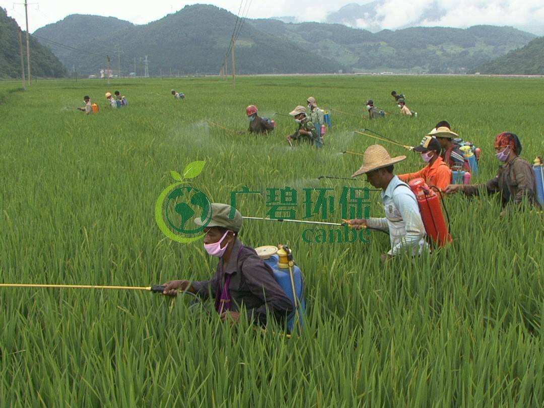 農(nóng)藥廢水是什么？農(nóng)藥廢水特點(diǎn)與處理工藝(圖1)