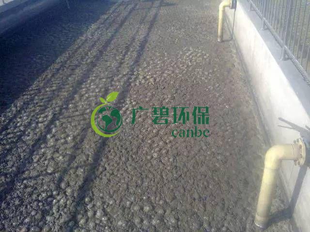 污泥發(fā)黑是什么原因造成？污泥發(fā)黑經(jīng)驗(yàn)分享(圖1)