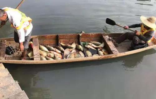 廣州旺旺食品廢水直排，永和河大量魚類死亡