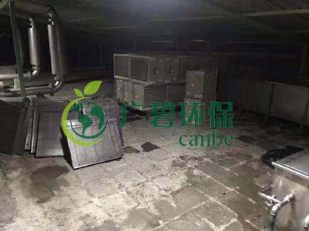 廣州旺旺食品廢水直排，永和河大量魚類死亡(圖3)