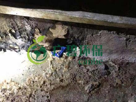 廣州旺旺食品廢水直排，永和河大量魚類死亡(圖4)
