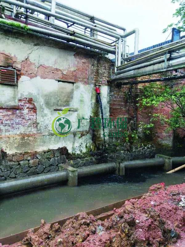 廣州海珠有污水直排河涌，3名涉案人員被行政拘留(圖1)