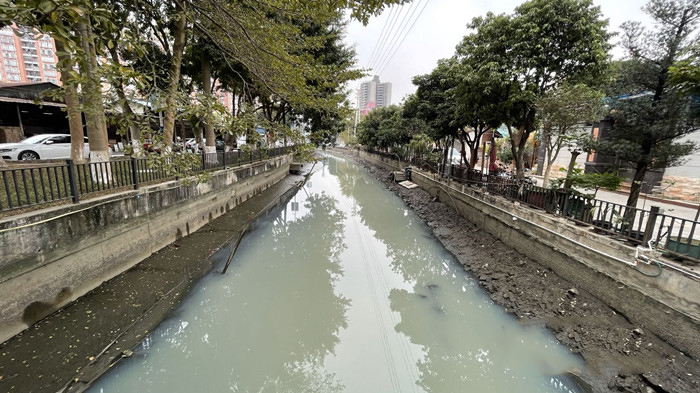 順德大良石洛涌、八坊涌整治見成效(圖3)